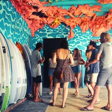 Cliff Surf House * Santa Cruz